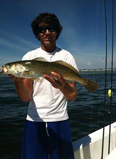 trout
