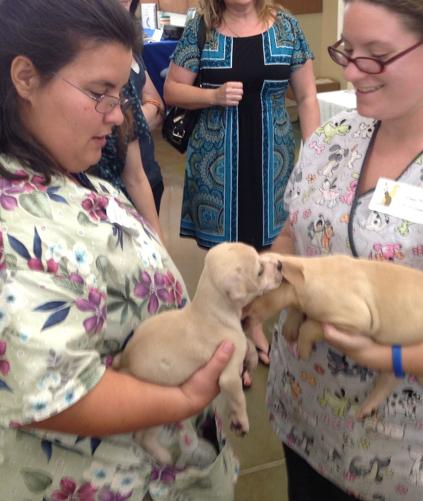 two puppies playing while being held
