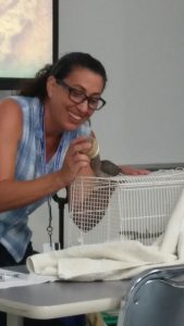 Wildlife 3