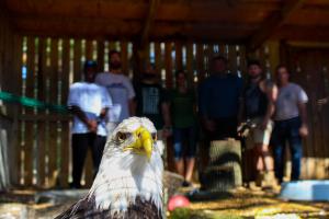 emilycrkvencic-2954