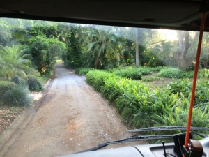 IMG 0833  