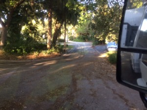 IMG 0837  