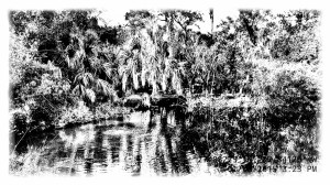 2015-01-02-15.23.40WPEdit